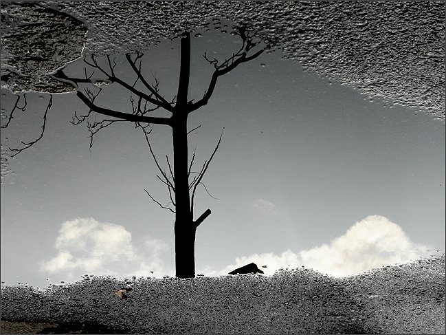Zhoobin Mireskandari, Closer to Far, 2009