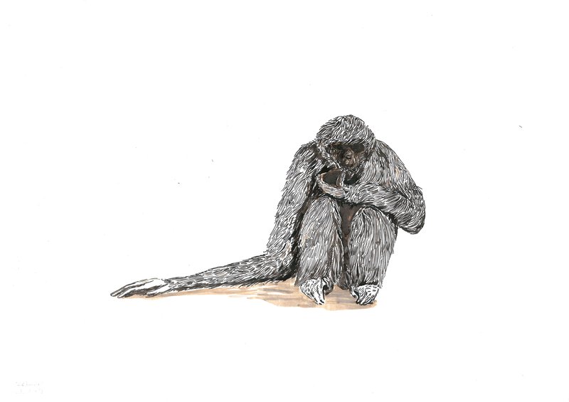 Keiman Mahabadi, Untitled, 2021