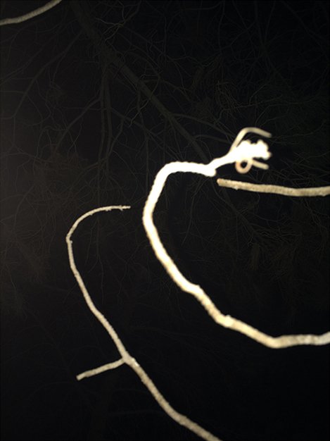 Marzie Rashidi, Untitled, 2016