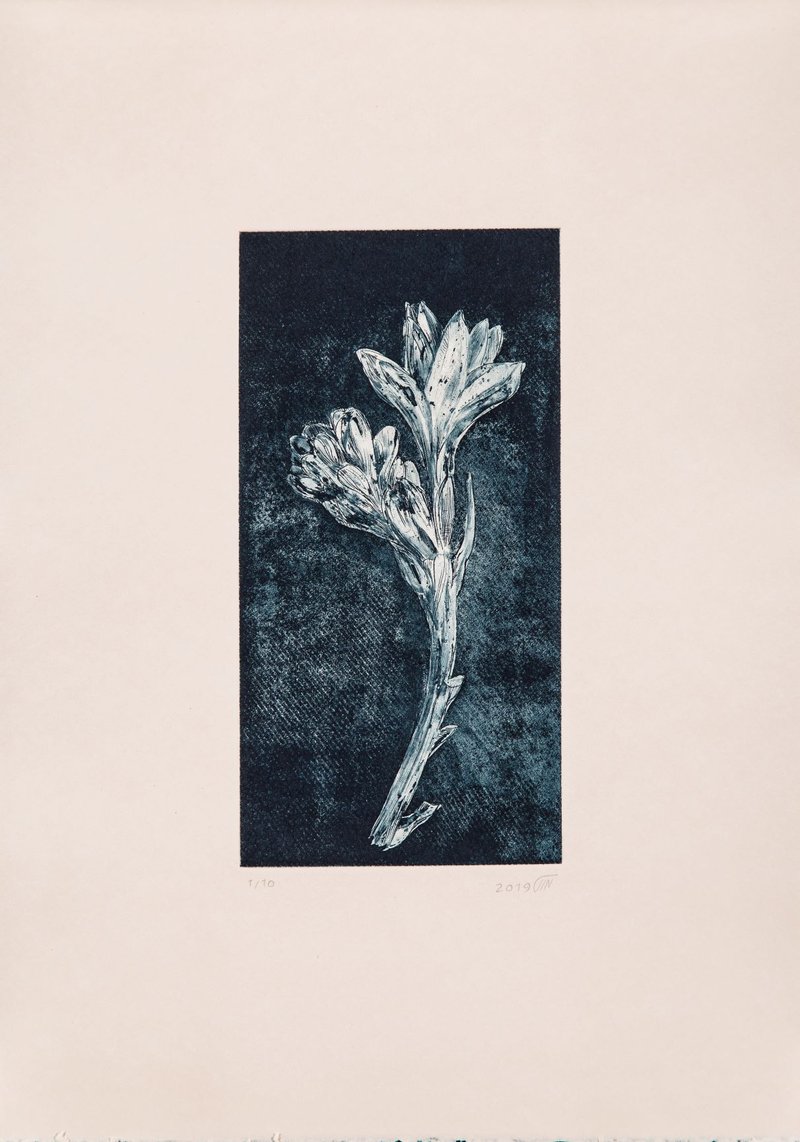 Kazhal Fakhri, Untitled, 2019