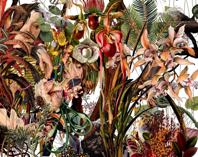Naeemeh Kazemi, Untitled, 2022