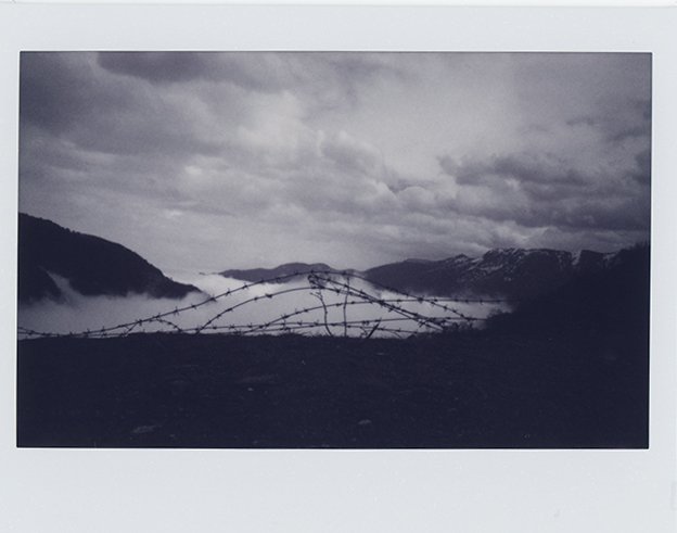 Mehrdad Afsari, Untitled, 2019