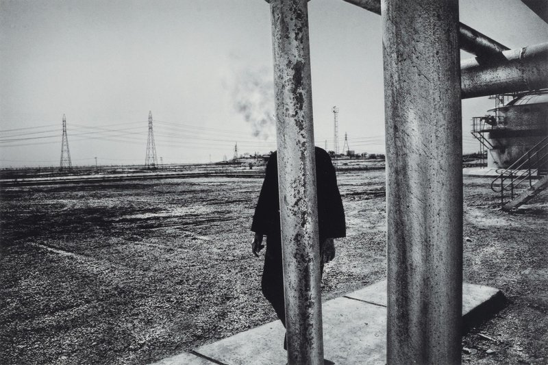 Babak Kazemi, A Report For d'Arcy