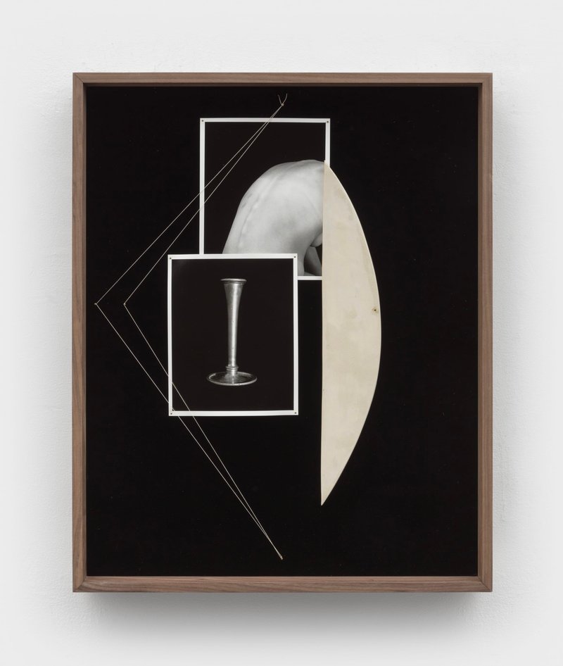 Sheree Hovsepian, Condence, 2022