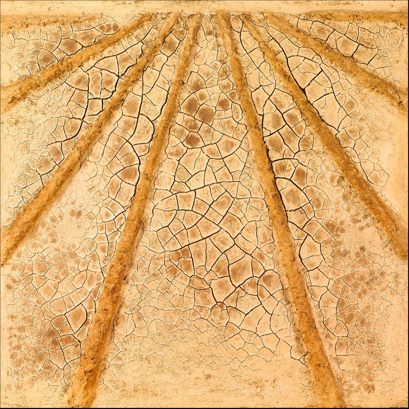 Marcos Grigorian, Dry Farm