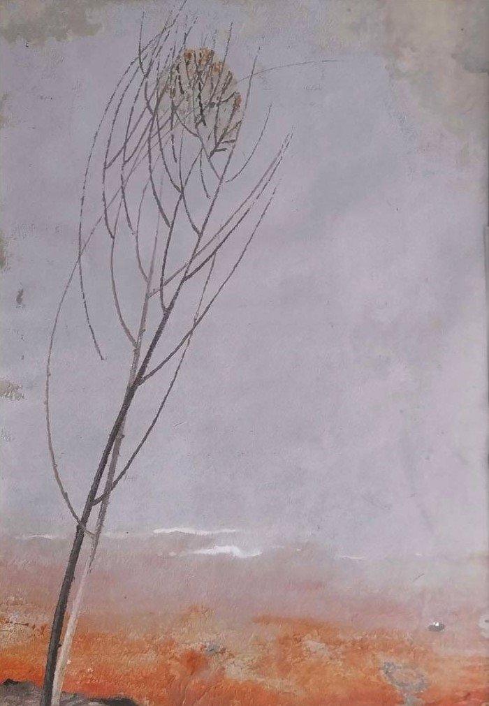 Rezvan Sadeghzadeh, Untitled