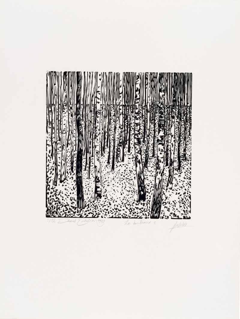 Davood Emdadian, Les Bouleaux I, 1979