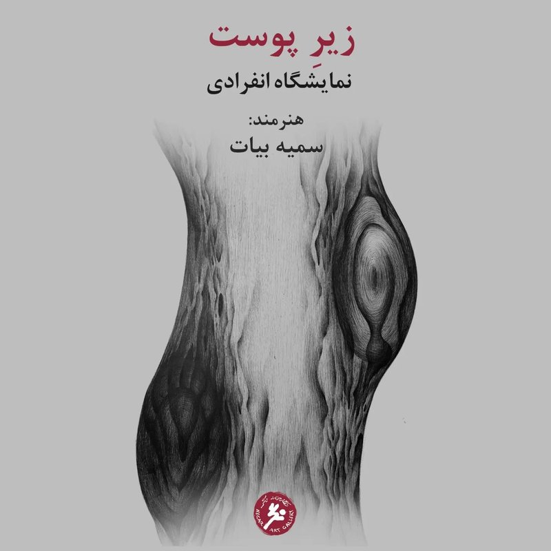 زیر پوست