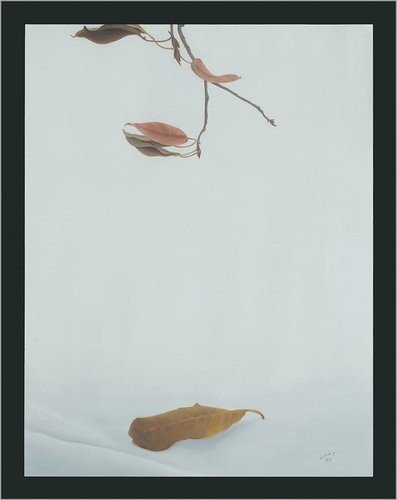 Mina Nouri, Untitled, 2023