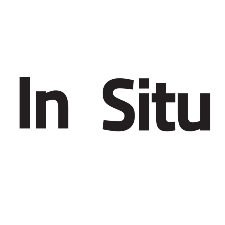 In Situ - Fabienne Leclerc