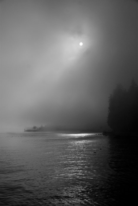 Ahmad Kavousian, Untitled