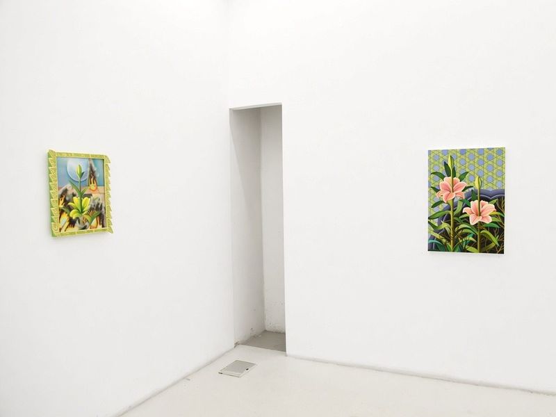 Installation view.