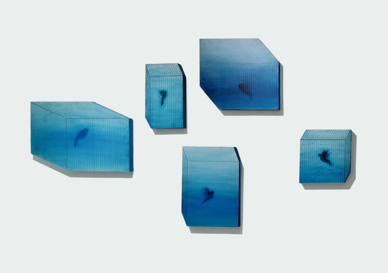 Leila Mirzakhani, Repeating the Blue Song, 2015