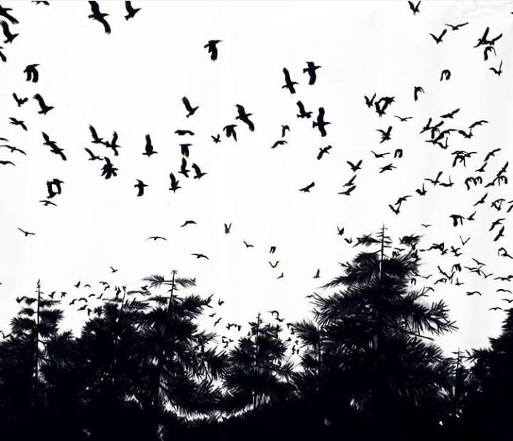Ali Malek, Untitled