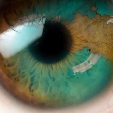 Outside the Viewfinder