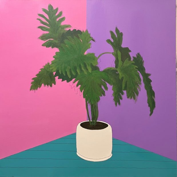 Afshin Sadipoor, Untitled, 2024