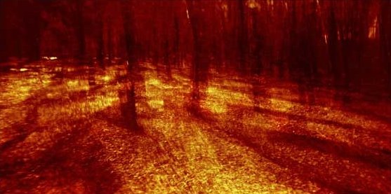 Amirhossein Biparva, Untitled, 2015