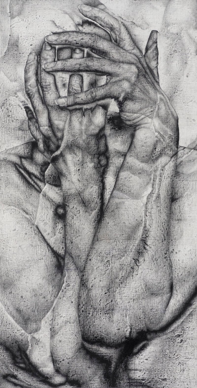 Shaya Shahrestani, Untitled