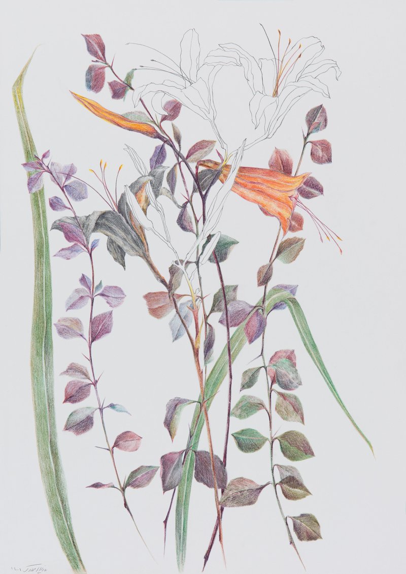 Nazila Moghadam, Untitled, 2022