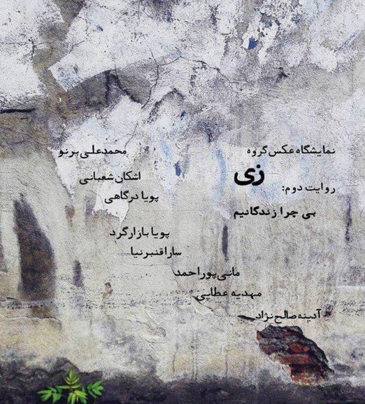 نمایشگاه عکس گروه زی