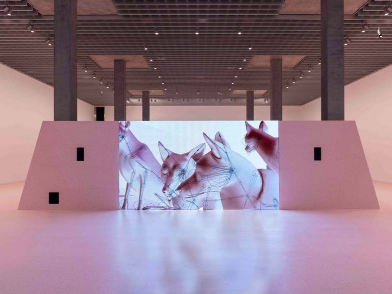 Streams of Spleen, Installation view.