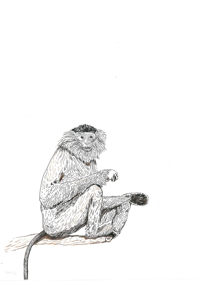 Keiman Mahabadi, Untitled, 2021