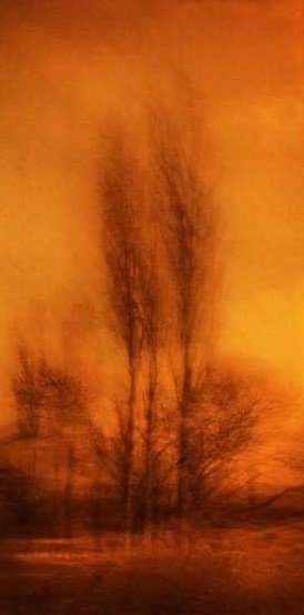 Amirhossein Biparva, Untitled, 2015