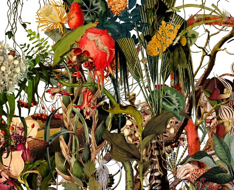 Naeemeh Kazemi, Untitled, 2021