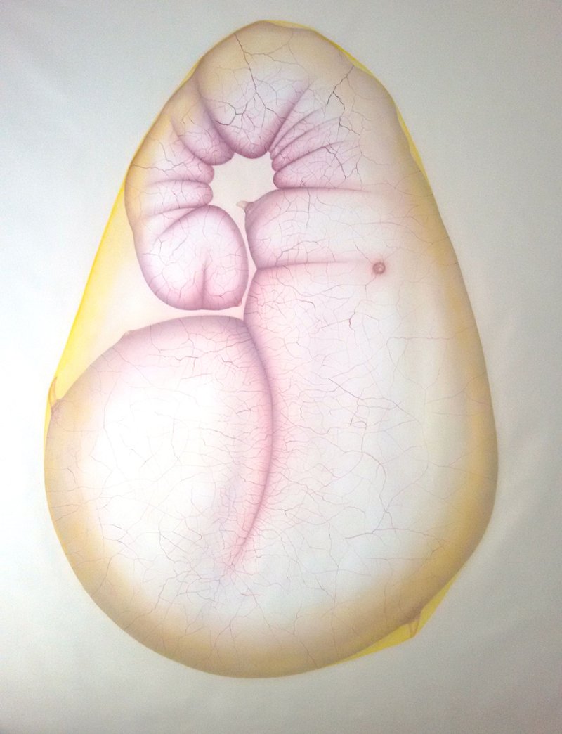 Azin Osati, Untitled, 2014