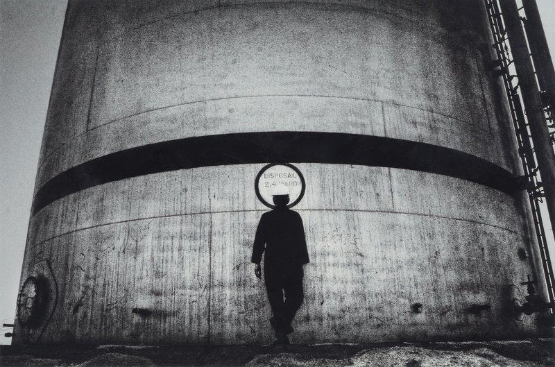 Babak Kazemi, A Report For d'Arcy