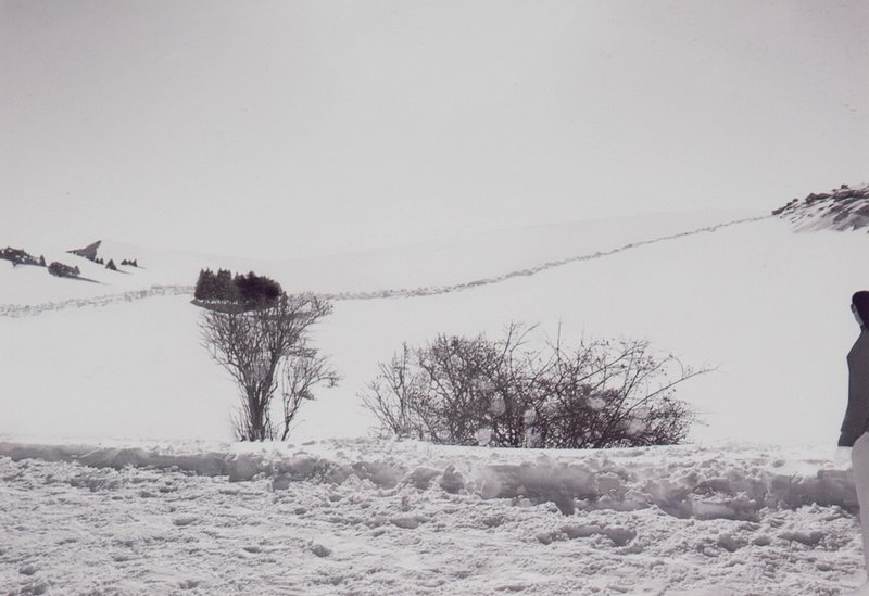 Abbas Gharib, The Roads, 2019