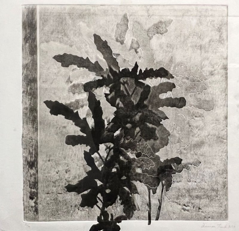 Sima Bagherzadeh, Untitled