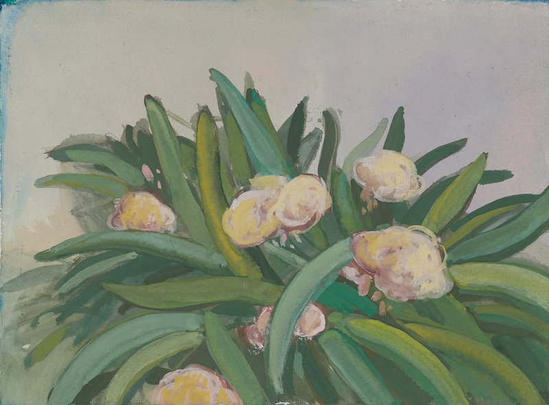 Amirhosein Esmaeili, Untitled, 2025