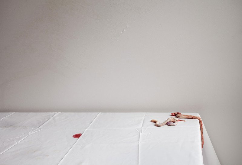 Setare Sanjari, Untitled, 2014