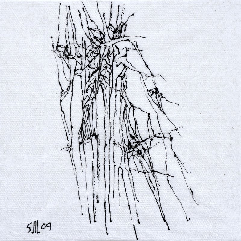 Sirak Melkonian, Untitled, 2009
