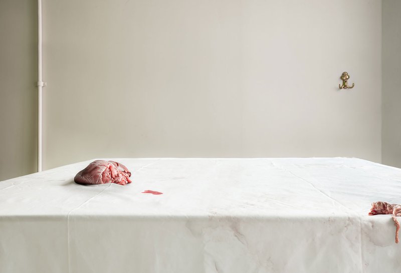 Setare Sanjari, Untitled, 2014