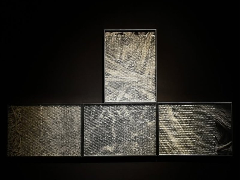 Personoid, installation view