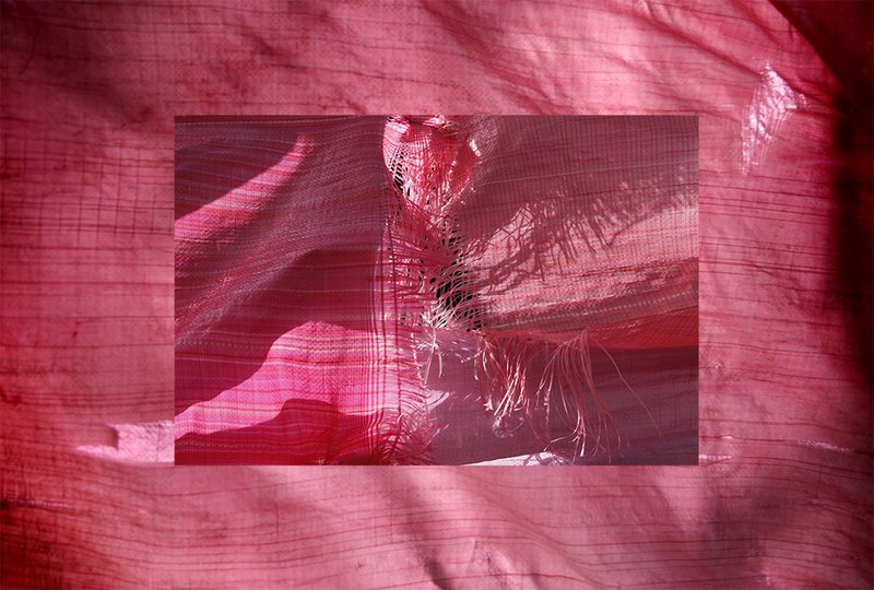 Niloufar Banisadr, Untitled