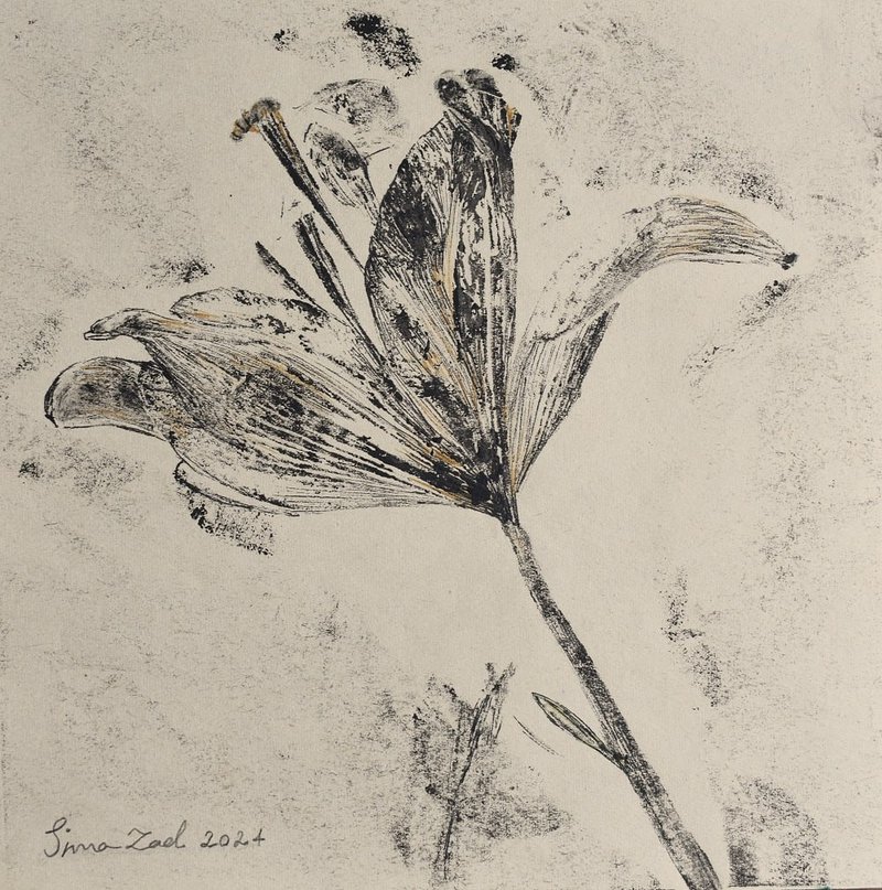 Sima Bagherzadeh, Untitled