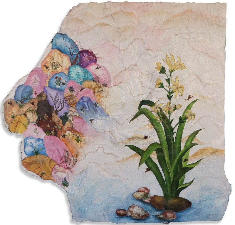 Soha Derakhsh, Untitled