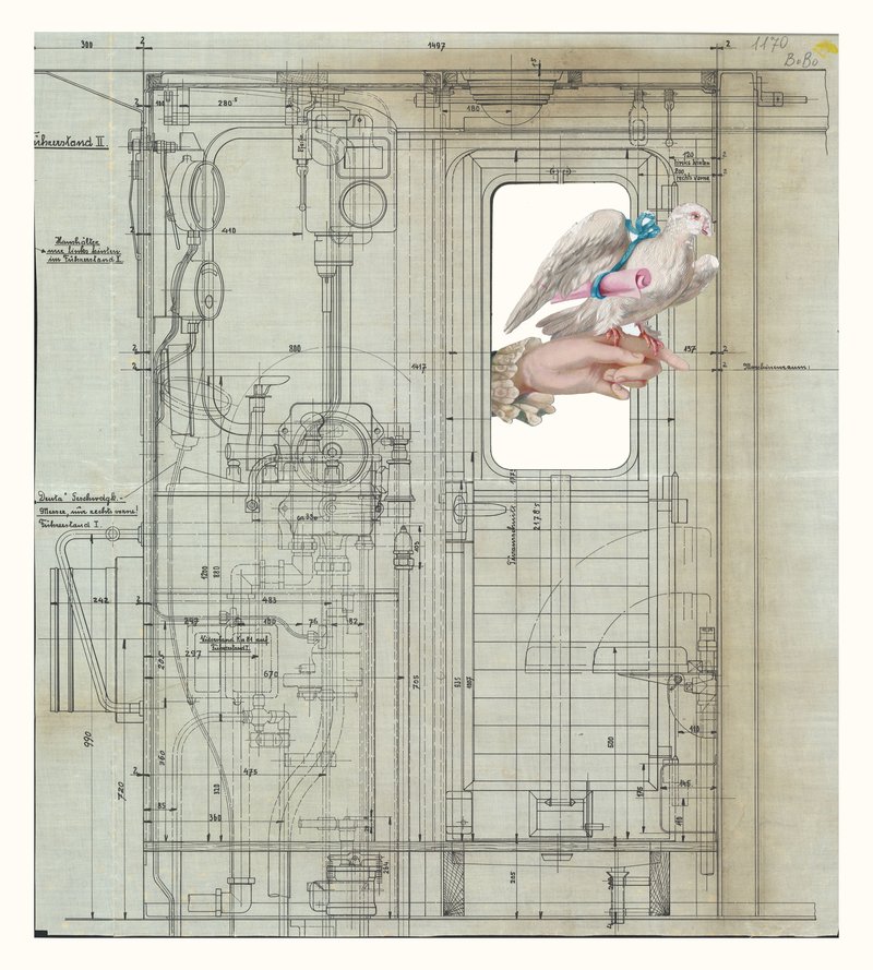 Farshid Larimian, Den No 5, 2018