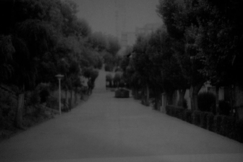Nasrin Larijani, Night, Saei Park, 05:09:01 P.M, 2023