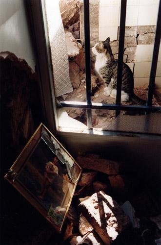 Behnam Sadighi, Untitled, 2004