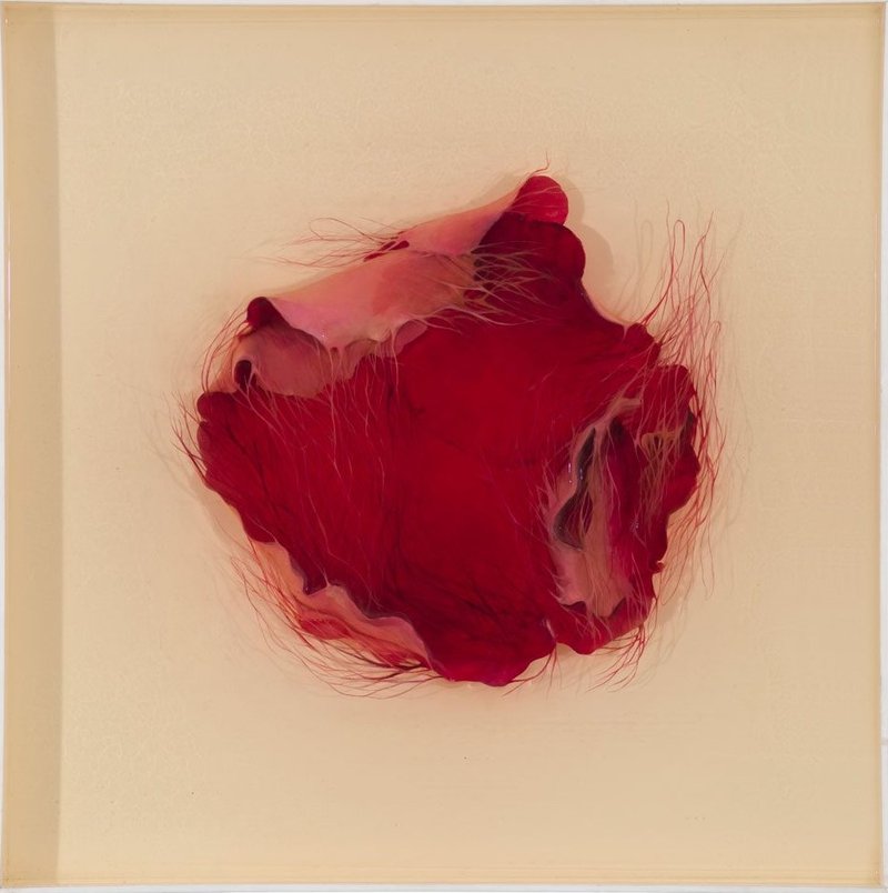 Setareh Afzali, Untitled, 2020