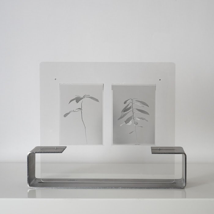 Kimia Rahgozar, No. 4, 2019