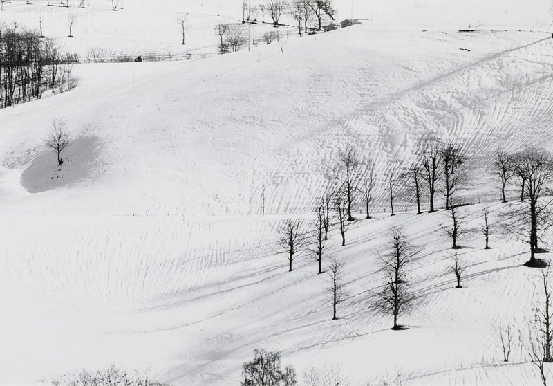 Abbas Gharib, Untitled, 2012