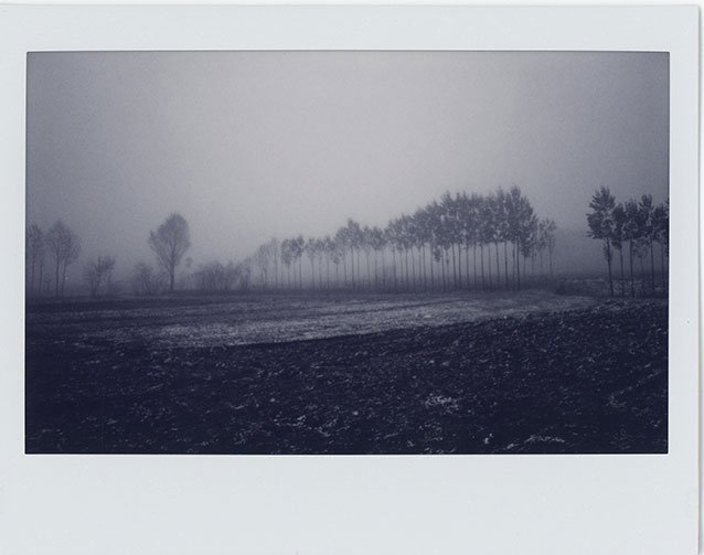 Mehrdad Afsari, Untitled, 2019