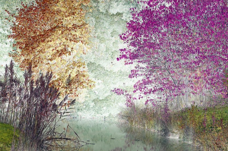 Arman Molavi, Untitled, 2024