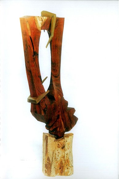 Kamran Sharif, Question, 2005