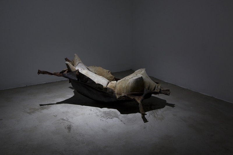 Neda Saeedi, Petrified